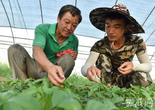 巢湖洪水最新情况