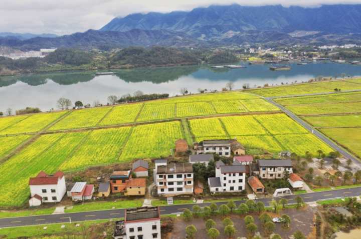 水西镇横江村焕新蓝图，共绘美好未来景象