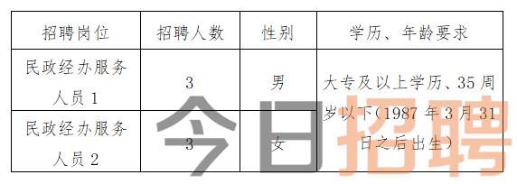 虞城招聘资讯速递：2025年度最新职位汇总